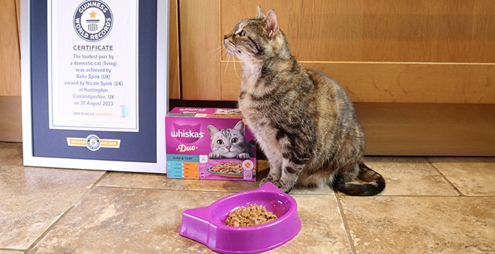 Whiskas Guinness World Records Hero Image