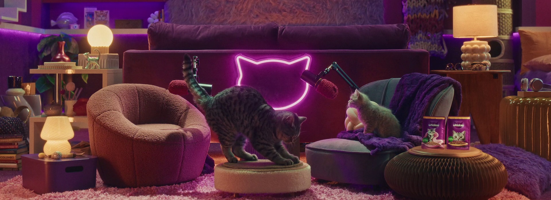 Que diable fait mon chaton ?