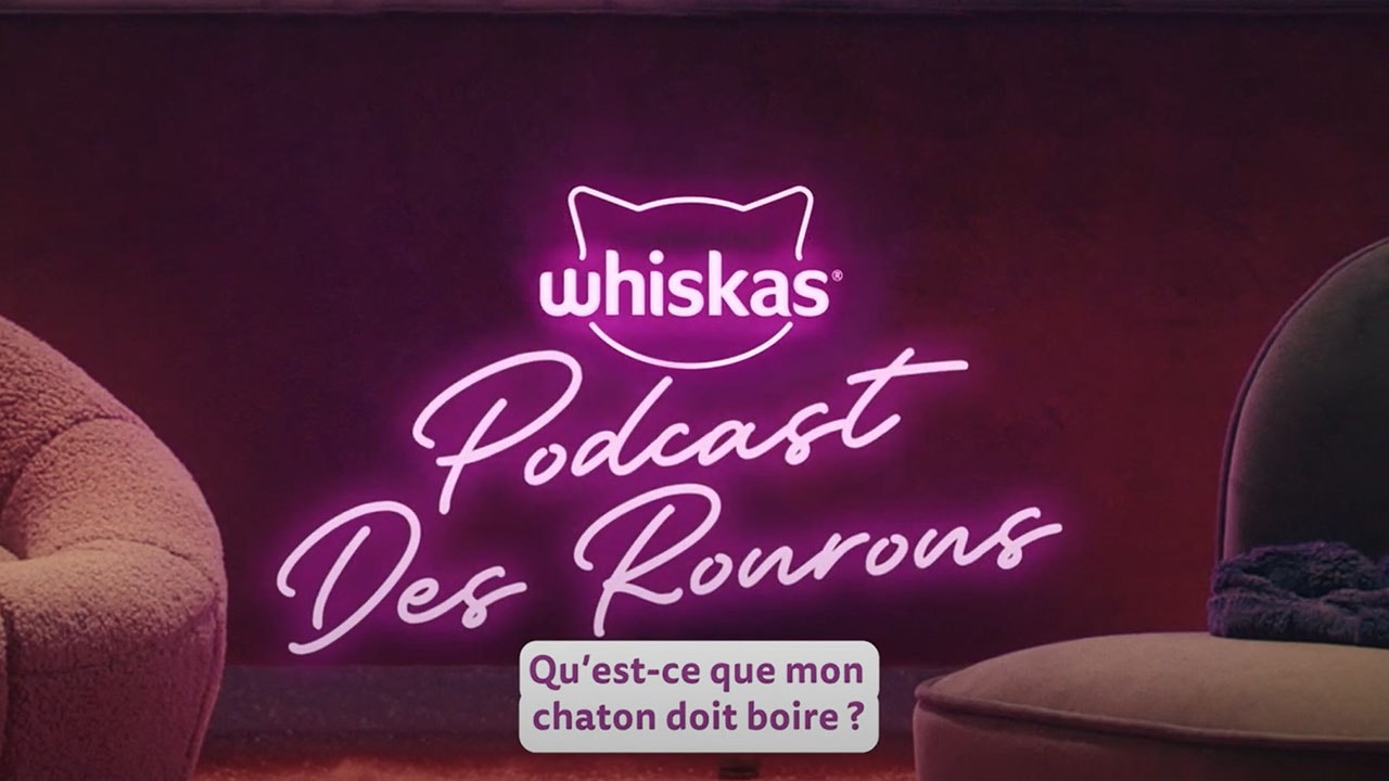 Liquide ou solide, l'eau c'est la santé assurée