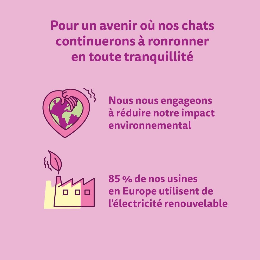 WHISKAS® Junior Croquettes Au Poulet Pour Chaton 1,9kg - 5