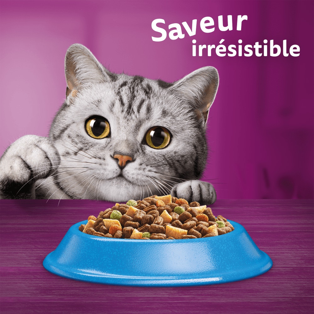 WHISKAS® Croquettes Au Thon Pour Chat Adulte 3,8kg - 6