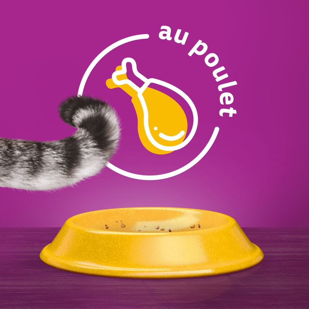 WHISKAS® Croquettes Au Poulet Pour Chat Adulte 3,8kg & 7kg - 7