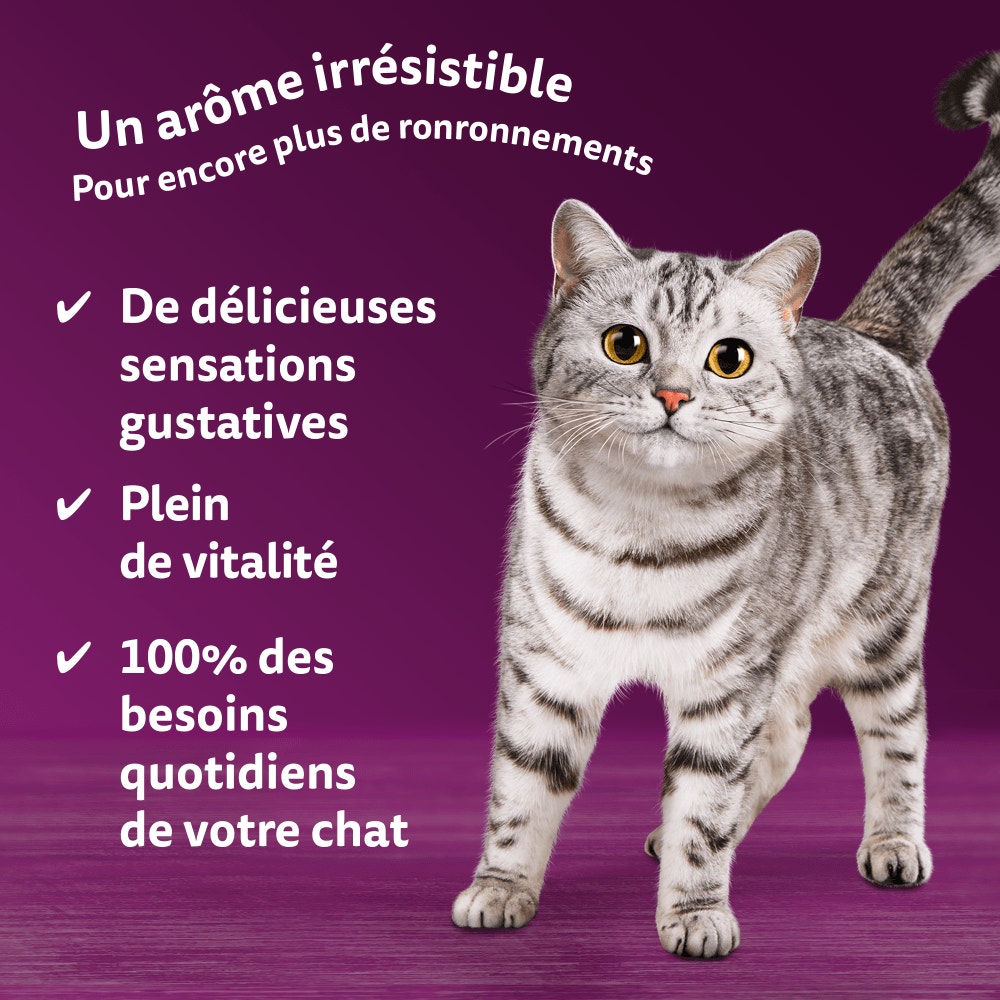 WHISKAS® Sachet Fraîcheur Les Aromatic Selection Fusion des Saveurs Pour Chat Adulte 4 variétés 12 x 85g - 4