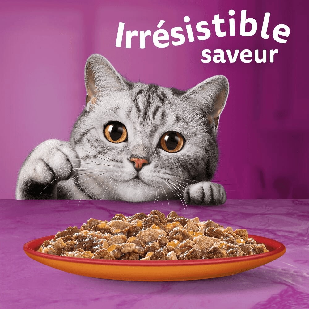 WHISKAS® Duo Sachets Fraîcheur Les Classiques En Gelée Pour Chat Adulte 4 Variétés 12 x 85g - 4