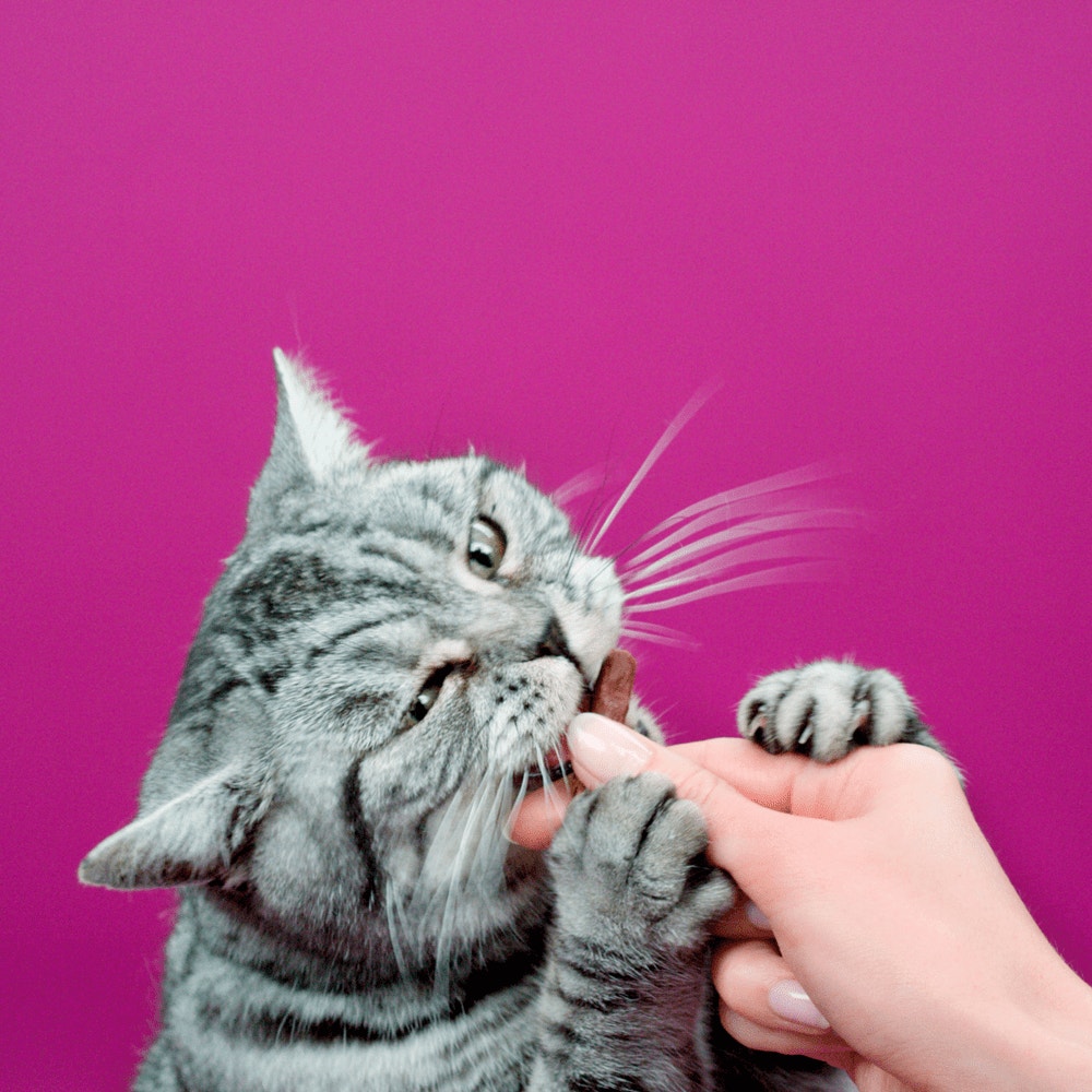 WHISKAS® Sticks Au Poulet Friandises Pour Chat Adulte 3 x 6g - 7