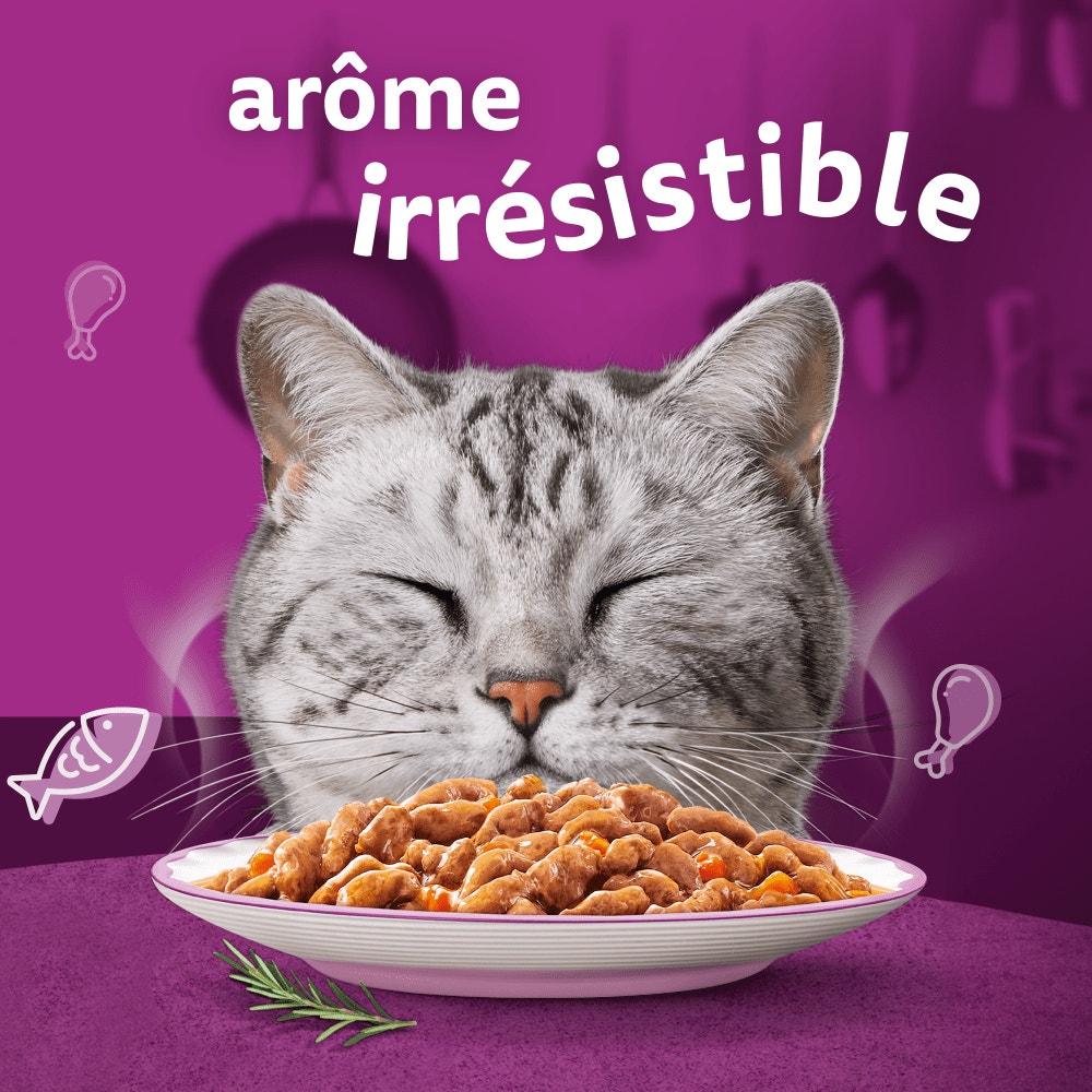 WHISKAS® Sachet Fraîcheur Les Aromatic Selection Fusion des Saveurs Pour Chat Adulte 4 variétés 12 x 85g - 2