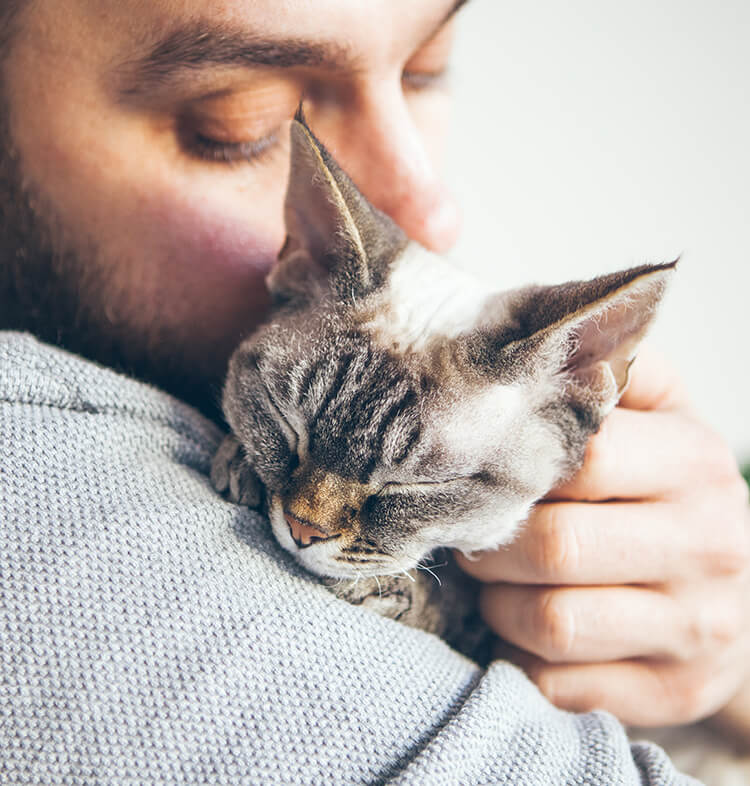 Accueillir un chat