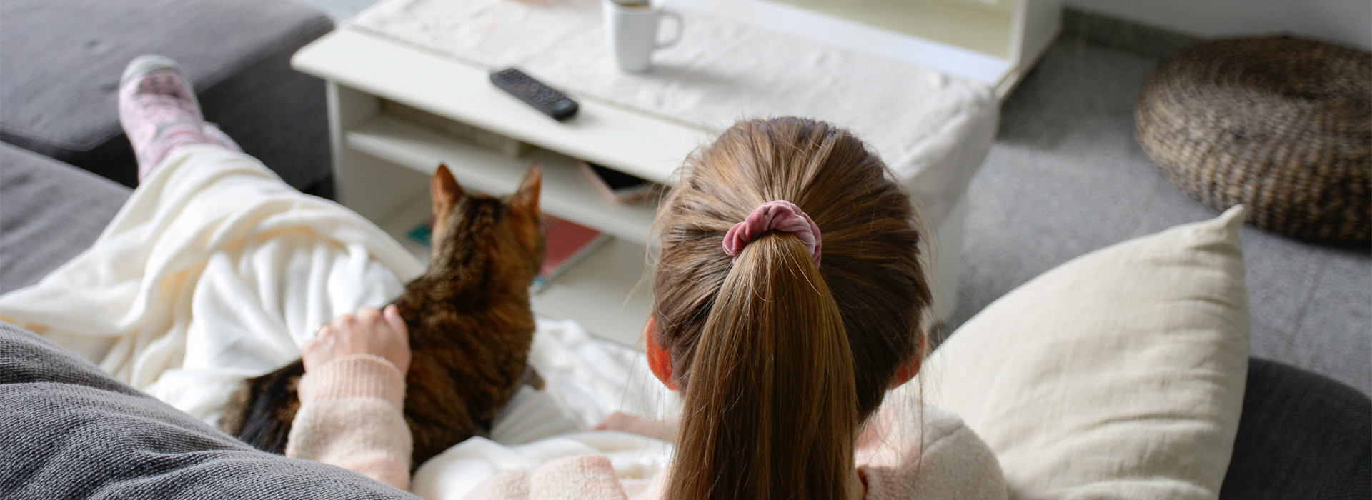 cohabiter-avec-son-chat.jpg