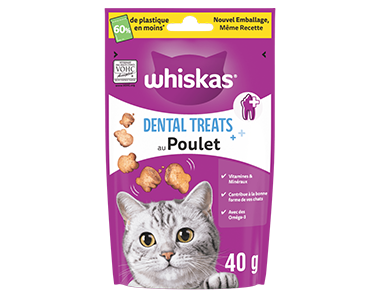 Dental Treats