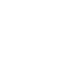 check icon