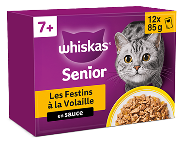 Chats 7 ans et +