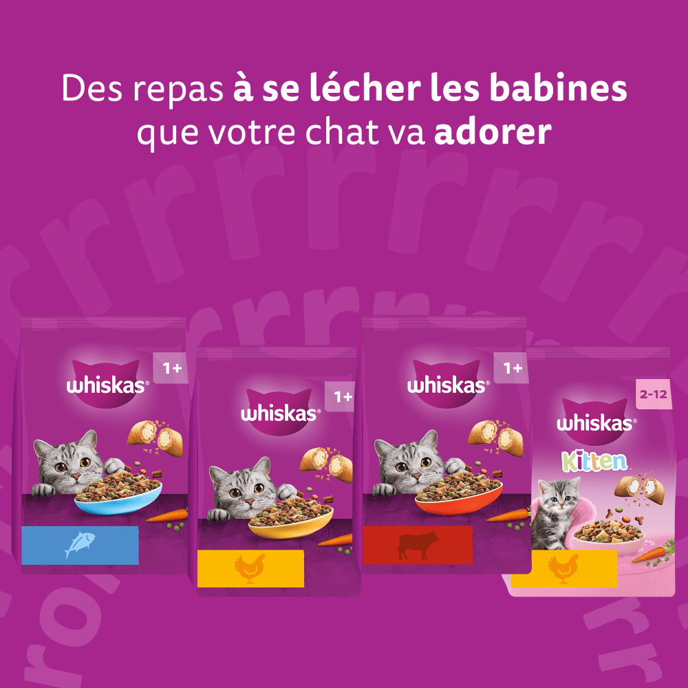 WHISKAS® Junior Croquettes Au Poulet Pour Chaton 1,4kg - 6