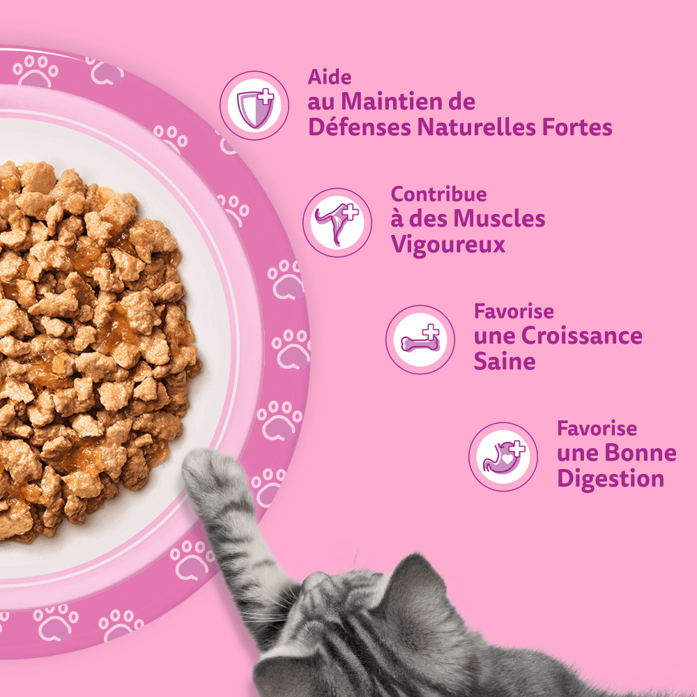 WHISKAS® Sachets Fraîcheur Les Festins À La Volaille En Gelée Pour Chaton 4 Variétés 12 x 85g - 5