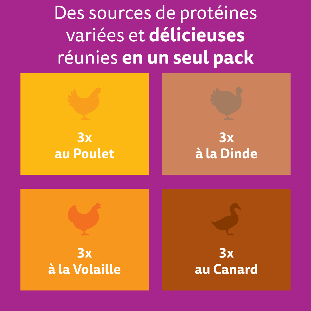 WHISKAS® Sachets Fraîcheur Les Festins À La Volaille En Gelée Pour Chaton 4 Variétés 12 x 85g - 3