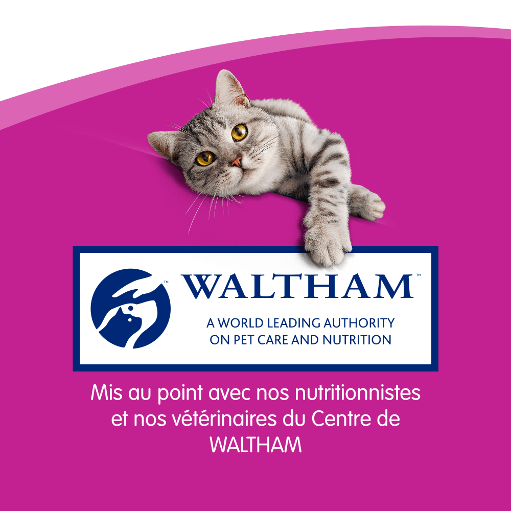 WHISKAS® Sticks Au Poulet Friandises Pour Chat Adulte 3 x 6g - 6