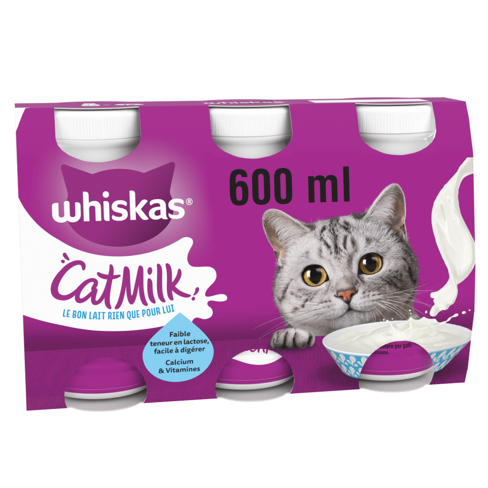 Lait En Bouteille Pour Chat Adult et Chatons